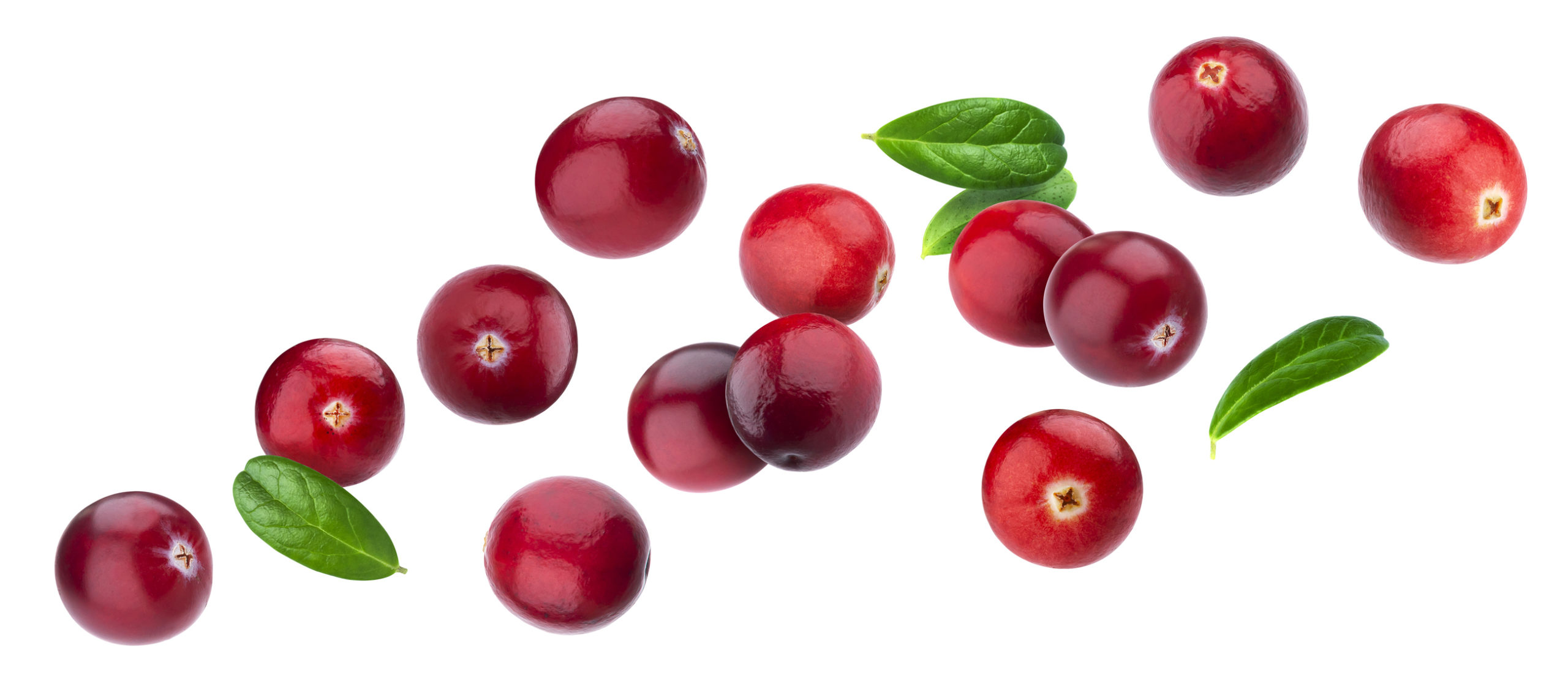 Cranberry Sauce recipe card